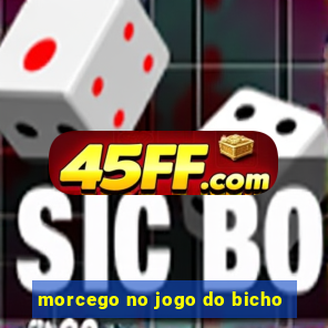 morcego no jogo do bicho